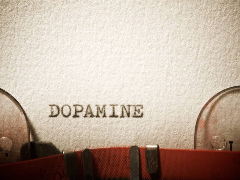 Modafinil Dopamine