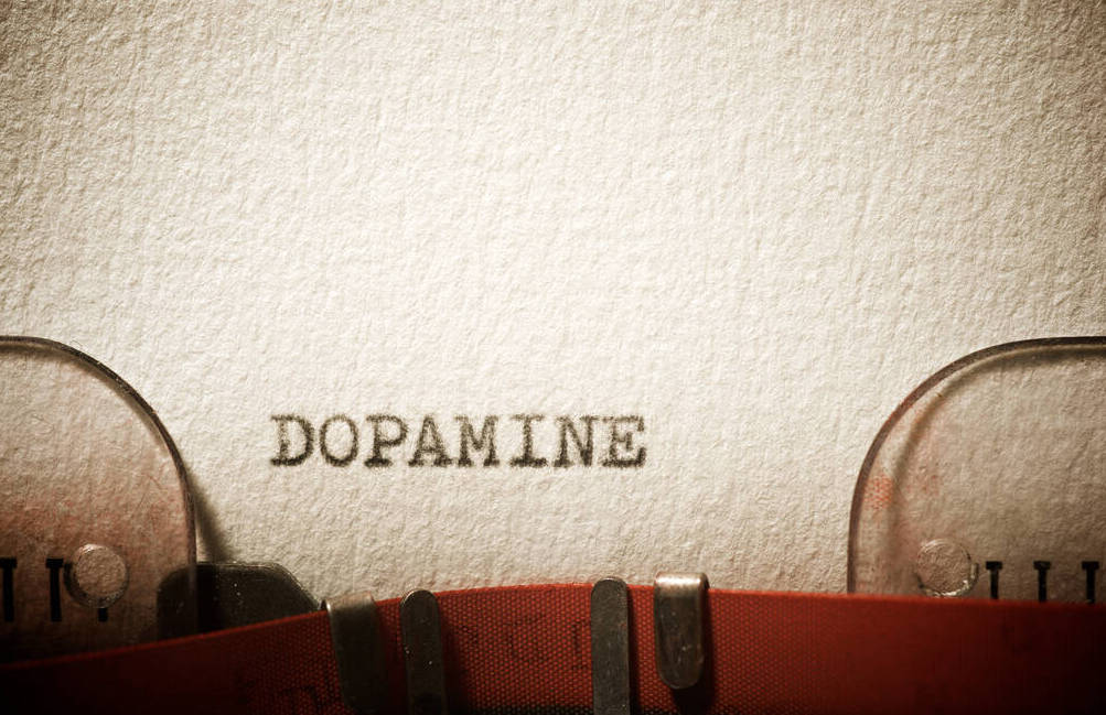 Modafinil Dopamine
