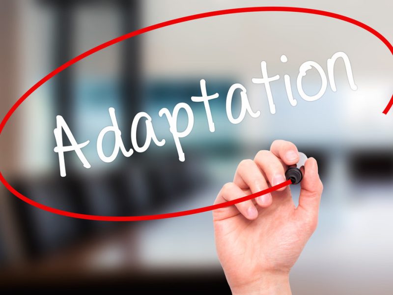 Modafinil and Social Adaptation