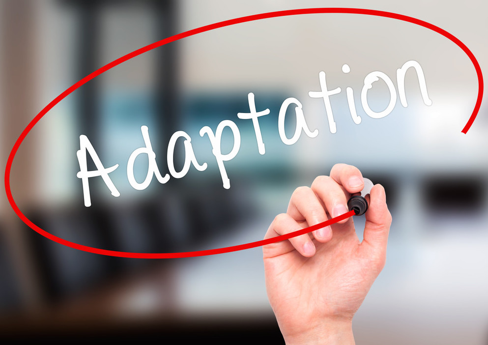 Modafinil and Social Adaptation