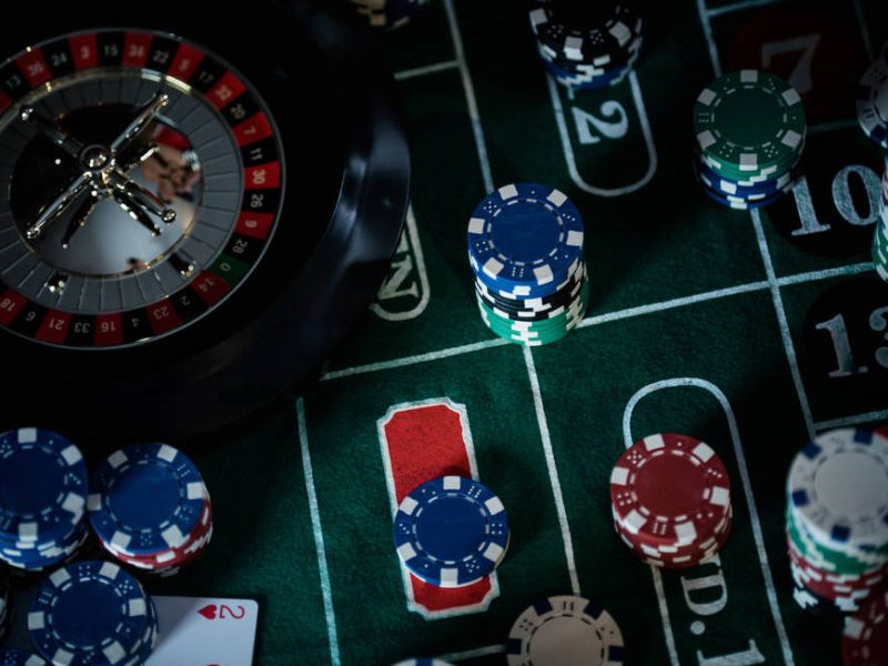 Modafinil Gambling Behavior