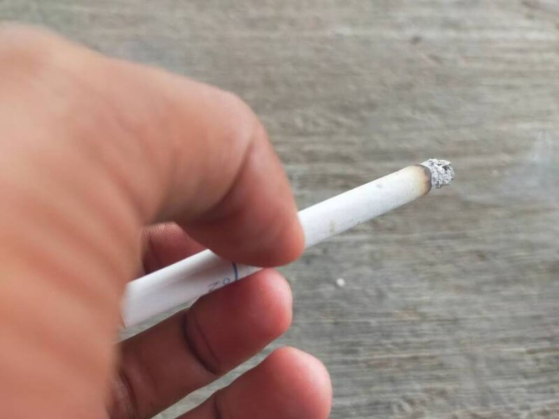 Modafinil Nicotine