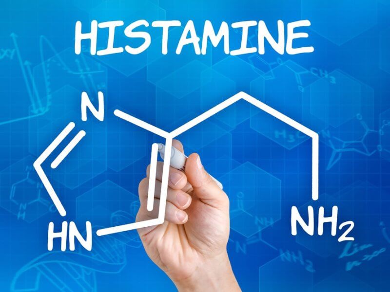 Modafinil Histamine
