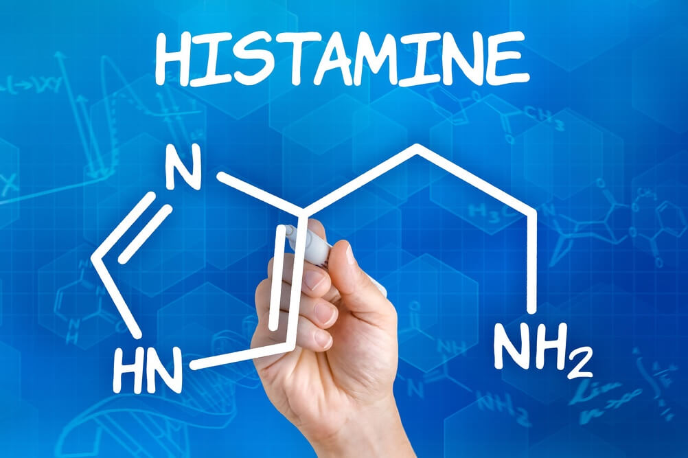 Modafinil Histamine