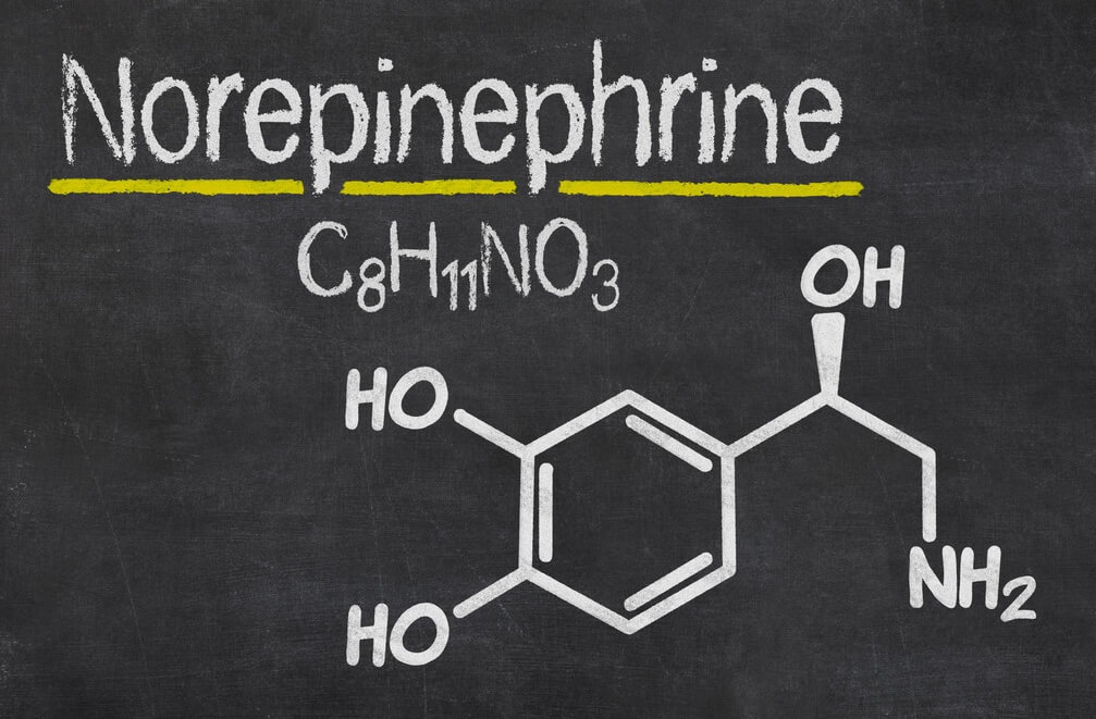 Modafinil Norepinephrine